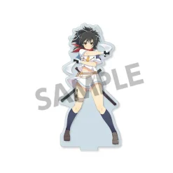 Shinobi Master Senran Kagura: New Link Acrylic Figure Collection Vol. 1 Discount