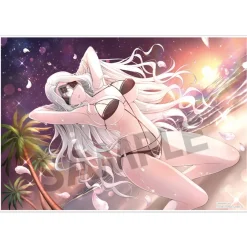 Shinobi Master Senran Kagura: New Link Visual Acrylic Plate Outlet
