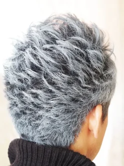 Cosplay Outfits>Silver Ash Hair Wax