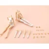 Plastic Models>Sousai Shojo Teien Dress Up Body [M] (Re-run)