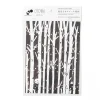 Tape Music Box Manga Series Vol. 2: New