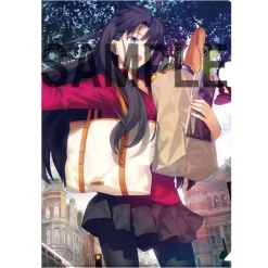 TYPE-MOON Ace Cover Illustration Clear File Folder Set Clearance