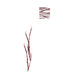 Footwear><noscript><img width=